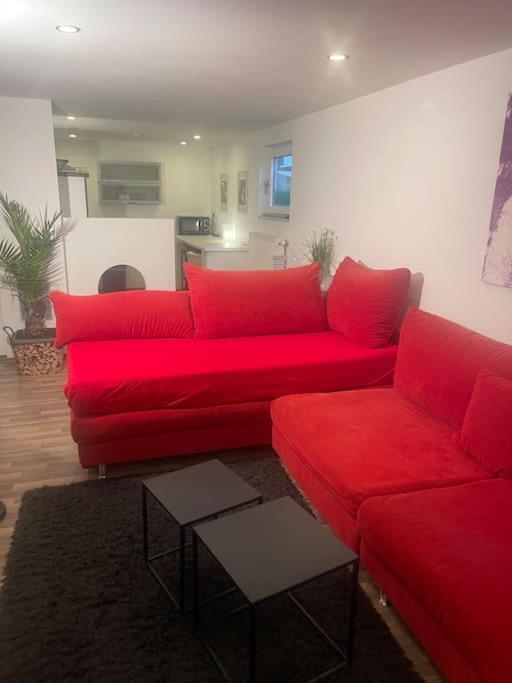 Gemuetliches Einliegerapartment, 50 Qm Trippstadt エクステリア 写真