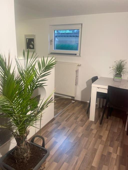 Gemuetliches Einliegerapartment, 50 Qm Trippstadt エクステリア 写真